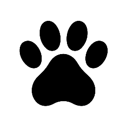 Wandering Pups Travels